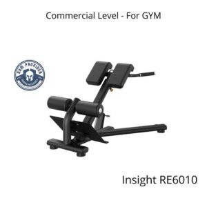 Insight Back Extension Roman Chair Commercial RE6010 untuk Gym besar kuat untuk pemakaian ribuan member di Indra Michael Fitness
